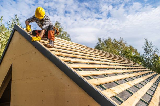 Best Roof Gutter Cleaning  in North Hobbs, NM